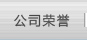 公司荣誉